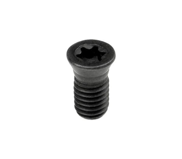 Double Back Out Torx Screw (10-Pack)